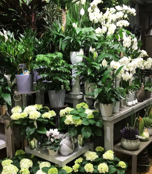 Fleurine : Des bouquets confectionnés avec amour et passion