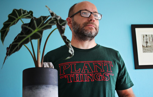 Forêt De Verre : Une entreprise alliant vert et verre