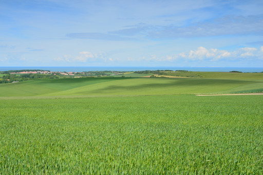 L’économie céréalière, un des fers de lance de la région