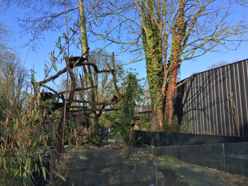 Le zoo d’Amiens poursuit sa mutation