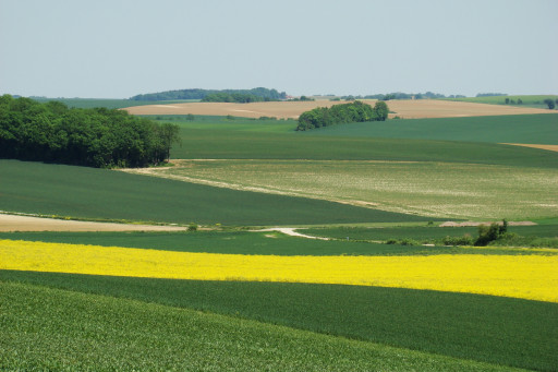 La Communauté d'agglomération Creil Sud-Oise reconnue pour son engagement envers la nature