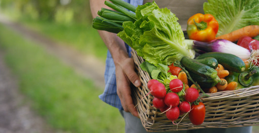L'Aisne se mobilise pour la profession agricole