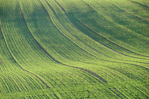Dans l'Oise, les jardineries restent ouvertes pour les professionnels