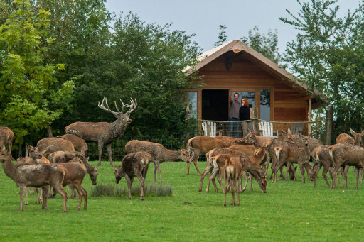 Parc Animalier de Sainte-Croix : réouverture partielle