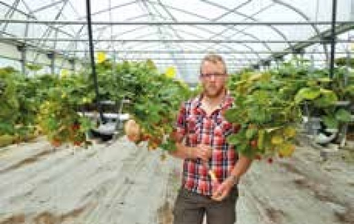 Les producteurs du Nord-Pas-de-Calais s'associent à Saveurs en'or